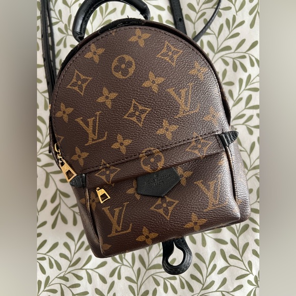 Louis Vuitton Palm Springs Mini - Picture 3 of 12